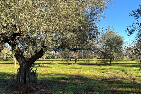 Landejendom i Ostuni, Brindisi, Ostuni - € 90.000 | Ref: 172814 - foto 7